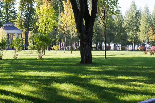 Belo parque da cidade — Fotografia de Stock