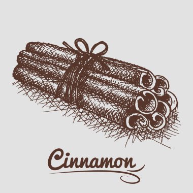 Tarçın kazık skech çizim