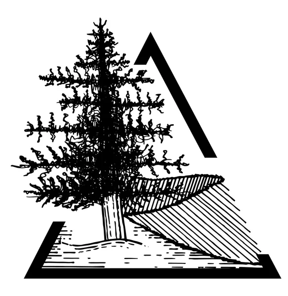 Hand Drew One Pine Tree Sketch — Stock Vector