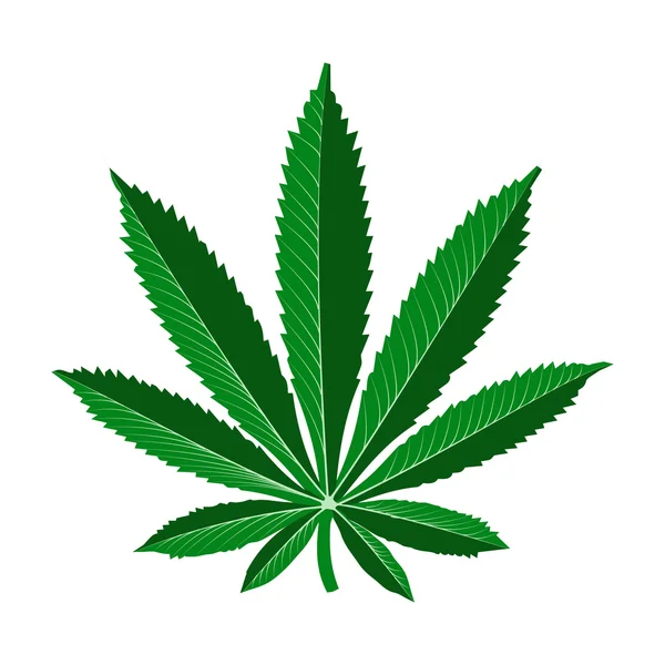 gerçekçi marihuana yaprağı