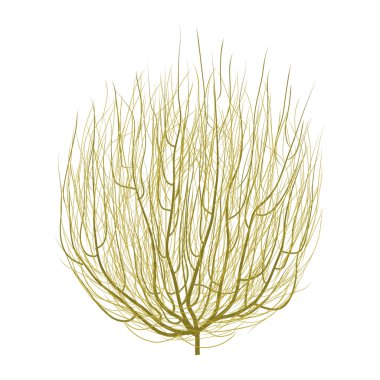 Tumbleweed graphic art design clipart