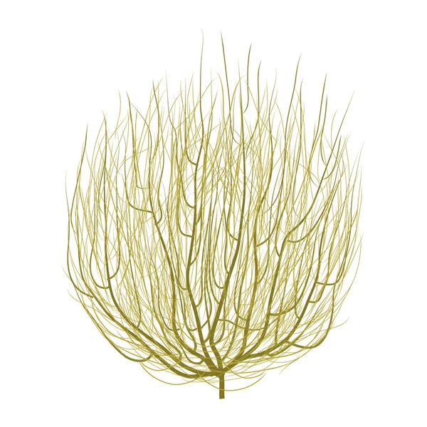 Tumbleweed grafik sanat tasarım