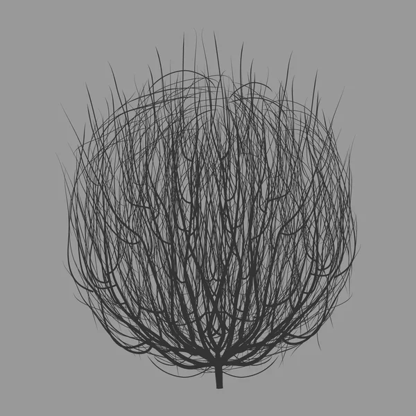Tumbleweed grafik sanat tasarım