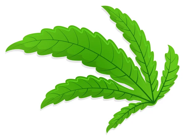 Bended marijuana leaf — Stock Vector