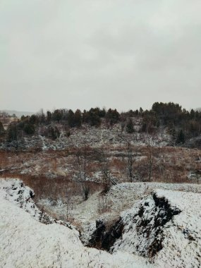 Dağlık bir bölgede, ağaçların ve çalıların arasında ilk kar yağışı gri gökyüzüne karşıydı.