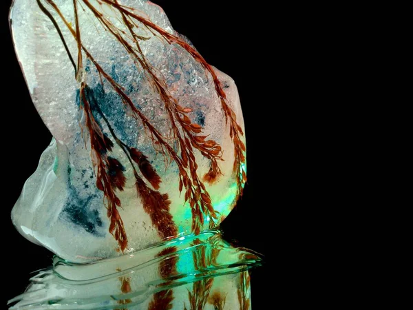 Шипы Замороженные Куске Льда Необычной Формы Освещенные Темноте Творческой Макрофотографии — стоковое фото