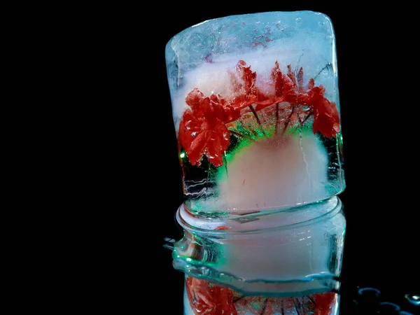 Yaratıcı Soyut Bir Fotoğraftaki Karanlıkta Egzotik Bir Kokteyl Gibi Buzun — Stok fotoğraf