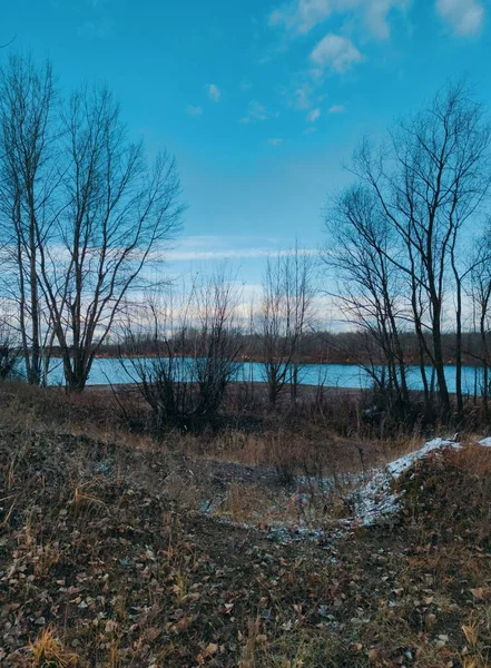 Bäume Mit Abgefallenen Blättern Vor Dem Hintergrund Eines Schönen Abendhimmels — Stockfoto