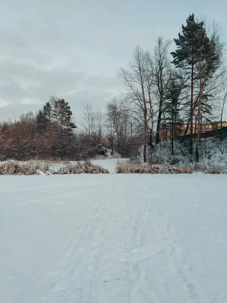 Пейзаж Замерзшем Заснеженном Озере Фоне Деревьев Вечернего Неба — стоковое фото