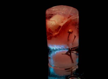 Soyut ve mistik fotoğraflarda buzun içinde donmuş güzel bir çiçek.