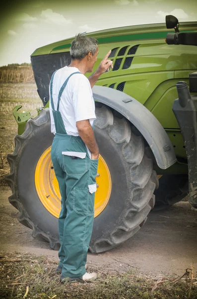 Sunflower on harvesting time — Stock Photo, Image