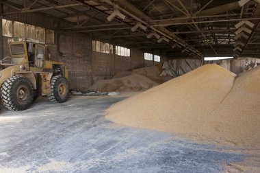 Silo grupla ayrıntılarını
