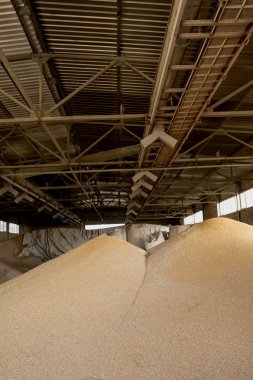 Silo grupla ayrıntılarını