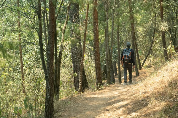 Schwarz Gekleideter Mann Wandert Auf Einem Pfad Mitten Wald — Stockfoto