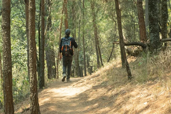 Schwarz Gekleideter Mann Wandert Auf Einem Pfad Mitten Wald — Stockfoto