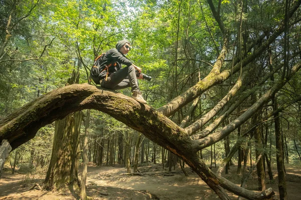Ein Mann Fotografiert Mit Einer Professionellen Kamera Wald — Stockfoto