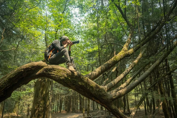 Ein Mann Fotografiert Mit Einer Professionellen Kamera Wald — Stockfoto