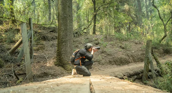 Ein Mann Fotografiert Mit Einer Professionellen Kamera Wald — Stockfoto