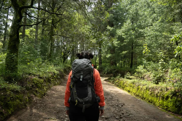 Jonge Vrouwelijke Wandelaar Reiziger Die Door Het Bos Loopt Haar — Stockfoto