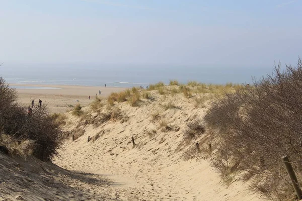 Przejście Wydmy Zeelandzie Dole Plażą Morzem Tle — Zdjęcie stockowe