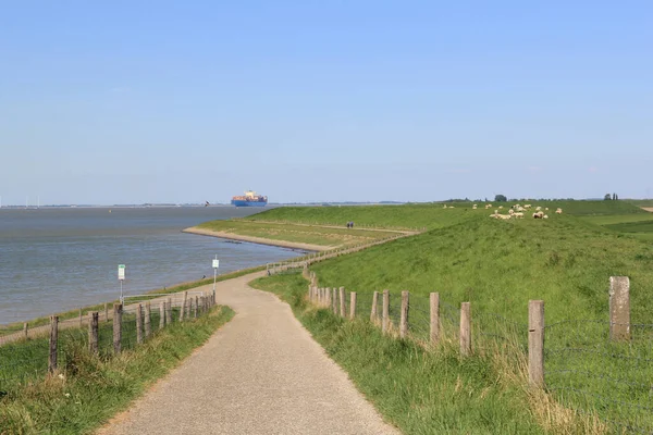 Gyönyörű Tengerparti Táj Alföldön Zeelanden Nyáron Egy Gát Átkelés Scheldt — Stock Fotó