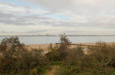 Hollanda 'nın Breskens kentindeki güzel kıyı manzarası. Kışın kumsalın ve denizin önündeki kumullarda çalılar ve çiçekler. Vlissingen' in ufuk çizgisi ve arkasında bulutlar olan güzel mavi bir gökyüzü.