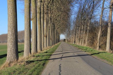 Hollanda kırsalındaki tipik bir hendek. Yol boyunca uzun ve popüler ağaçlarla dolu.