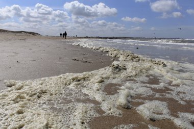 Zeeland, Hollanda 'daki sahil şeridindeki deniz köpükleriyle dolu güzel sahil manzarası ve arka planda bulutlar olan açık mavi bir gökyüzü.
