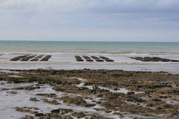 oyster beds in the sea with low tide at the french tide in normandy in summer