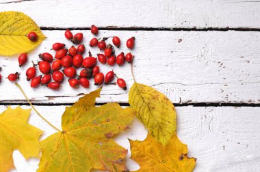Ahşap arka planda gül kalça.