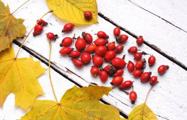 Ahşap arka planda gül kalça.