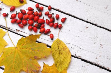 Ahşap arka planda gül kalça.