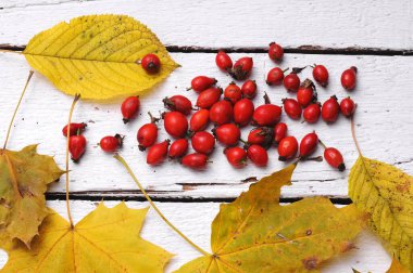 Ahşap arka planda gül kalça.