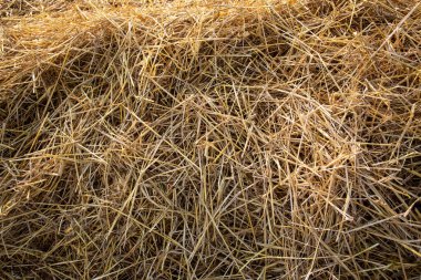 Günbatımında saman balyaları