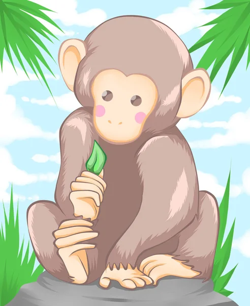 Monkey animals nature jungle — Stock Photo, Image