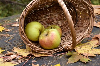 Ahşap bir masada elmalı hasır sepet. Sonbahar pikniği.