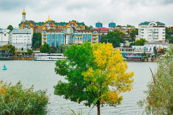 Nehrin arka planında güzel bir ağaç, binalar ve gemiler 