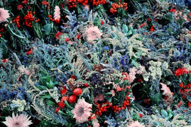 alan farklı çiçek deseni çiçekler