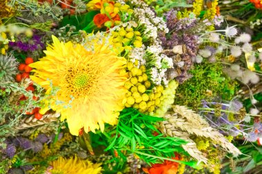 arka plan büyük sarı çiçek ve küçük çiçekler