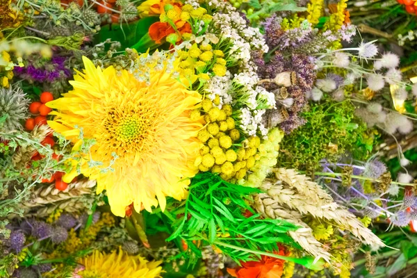 arka plan büyük sarı çiçek ve küçük çiçekler