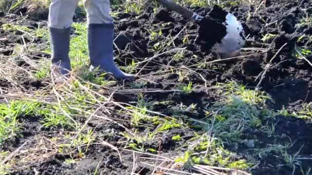 Orang-orang menggali tanah dengan tangan — Stok Video