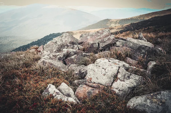 Pedras naturais naturais no campo — Fotografia de Stock