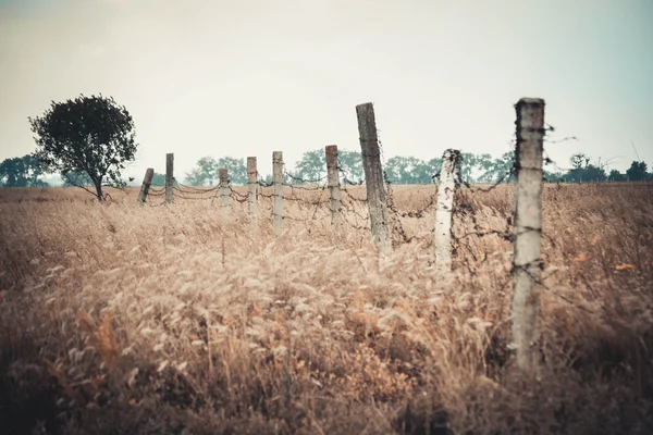 Concrete posts topped with barbed