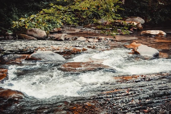 산 강 돌 바닥 — 스톡 사진