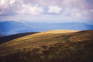 Bulutlu bir günde Alpine mera