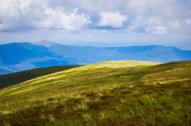 Bulutlu bir günde Alpine mera