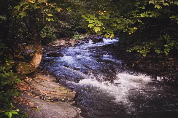 Rivier stromen in steenachtige lijn — Stockfoto