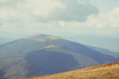 dağ tepesinde çayır