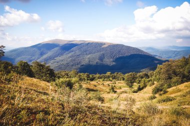 Ağaçlar ve dağ çayır