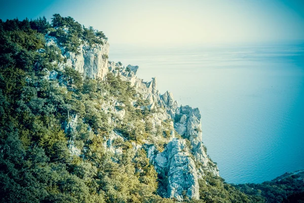 Rocks with trees and sea — Stock Photo, Image